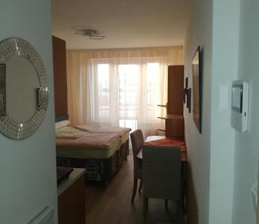 Karlin Apartment | Terrace Studio Prague Center