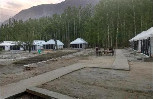 Hundur Bed & Breakfast | Terrain Ladakh Camping
