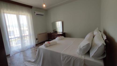 Fondi House | Terry's House