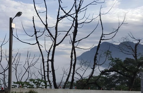 Lugu House | TFG B&B