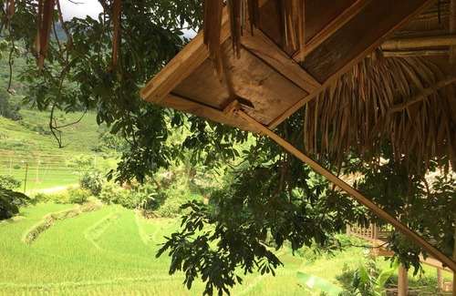 Kho Muong Cottage | Thai Traditional Still house