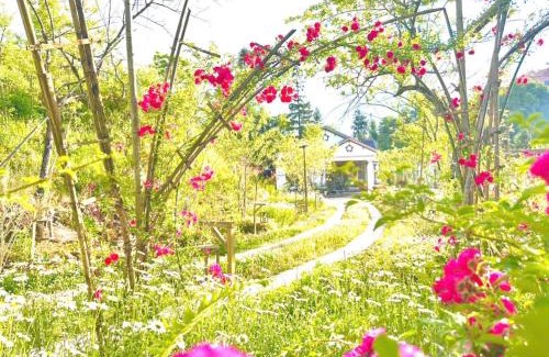 Cha Pai Villa | Thanh Truc Villa & Flower