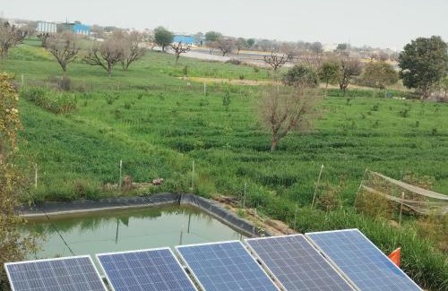 Chirawa House | Thar Olive Cottages Pilani