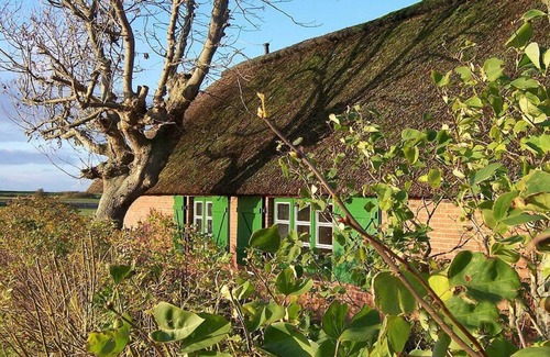 Hillgroven House | Thatched roof house Kehl