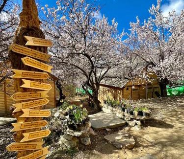 Hunza Hotel | The 2 Magpies, Hunza