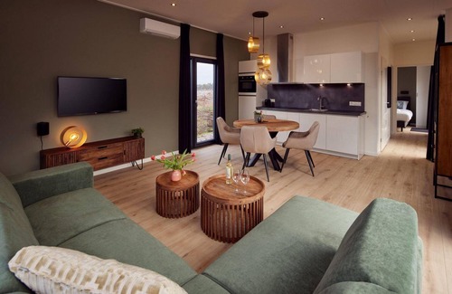 Lattrop House | The Amalia 4 Deluxe is a luxurious holiday home with a private sauna, a spacious living room, open kitchen, two bedrooms and a large patio.