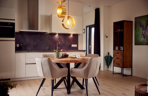 Lattrop House | The Amalia 4 Deluxe is a luxurious holiday home with a private sauna, a spacious living room, open kitchen, two bedrooms and a large patio.