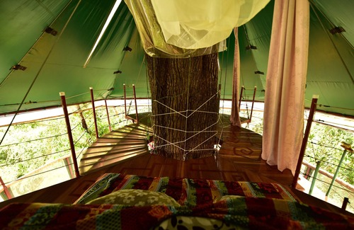 Manzanillo House | The Amazing Treehouse and Nature Observatorio in Manzanillo, Limon, Costa Rica