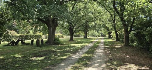 Blayney House | The Avenue Anahdale - Hidden 2.7 Acre Estate in town