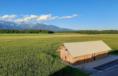 Kranj Apartment | The Barn Košnik