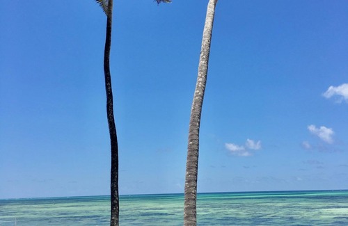 Jambiani Villa | THE BEACH VILLA - Four Bedroom Villa, Sleeps 8