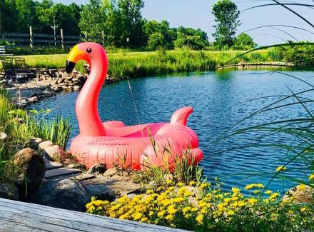 Holcomb Bed & Breakfast | The Bella Ella Bed and Breakfast