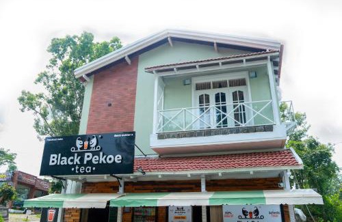 Yercaud Resort | The Berry House