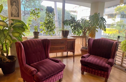 La Condesa Apartment | THE BEST PLACE IN THE HEART OF CONDESA