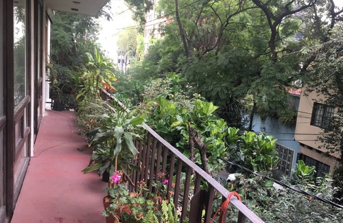 La Condesa Apartment | THE BEST PLACE IN THE HEART OF CONDESA