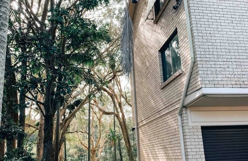 Currumbin Apartment | The Bird Bach - A serene stay nestled in nature with a quick walk to the beach!