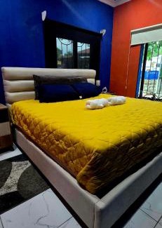 Puerto Barrios Apartment | The blue house