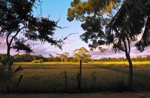Nochchiyagama Resort | The Blue Sapphire Of Wilpattu