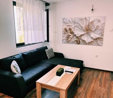 Zrenjanin Apartment | The Boulevard Buzz
