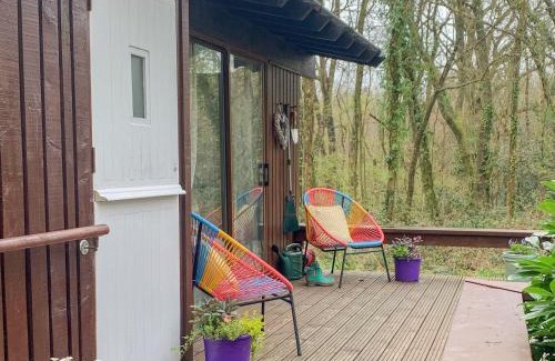 Cenarth House | The Cabin