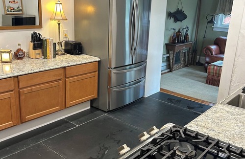 Grand Rapids House | The Canal House: 3-bedroom home