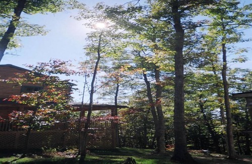True House | The Cardinal log cabin. Wrap around deck, firepit. Next to Pipestem resort park.