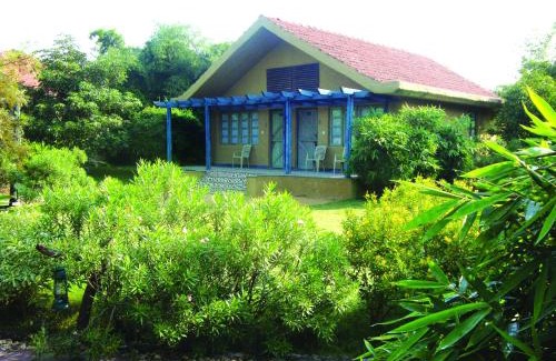 Kanha Resort | The Celebration Van Vilas