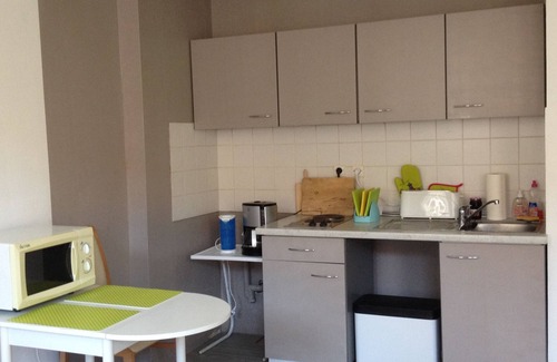 Forbach Apartment | The chestnut - spacious studio in the city center