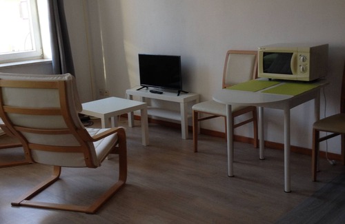 Forbach Apartment | The chestnut - spacious studio in the city center