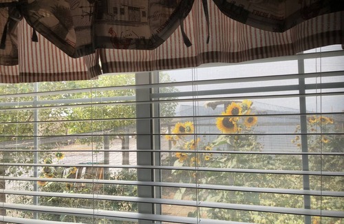 Utah County Cottage | The Chick Inn Bed Breakfast and Dinner!