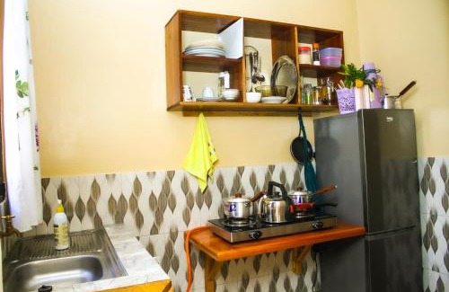 Tanga Apartment | The Connected Living Lodge with AC ,Wi-Fi and Netflix