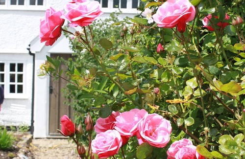 Bramfield Cottage | The cottage is ideally situated for exploring the Suffolk coast and countryside.