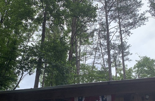 Toccoa Cottage | The Cozy Cottage