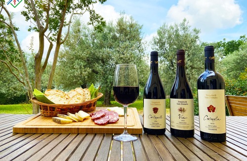 Calenzano Apartment | The Cypresses of San Donato