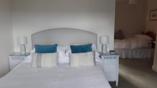 Llanfihangel Tal-y-llyn Bed & Breakfast | The Draen Bed and Breakfast