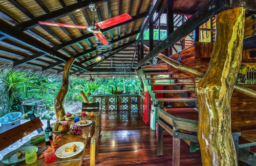 Manzanillo House | The Dream Palm House