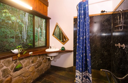 Cow Bay Bed & Breakfast | The Epiphyte Bed & Breakfast