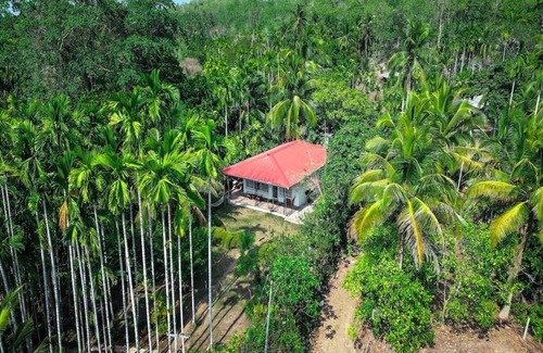 Port Blair Villa | The Escape - 2 BHK Farm Villa With Private Stream & Secret Waterfall