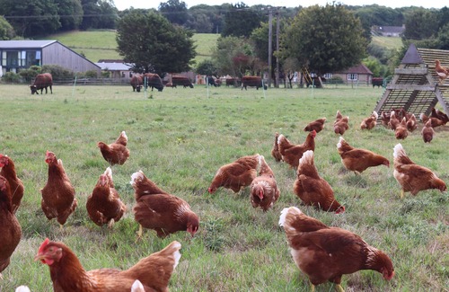 Chippenham House | THE FARM HOUSE @ NABLES FARM, family friendly in Upper Seagry