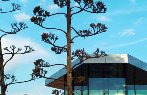 Gorafe House | The glass house in the gorafe desert