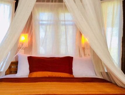 Nong Phai House | The Green Vale B&B