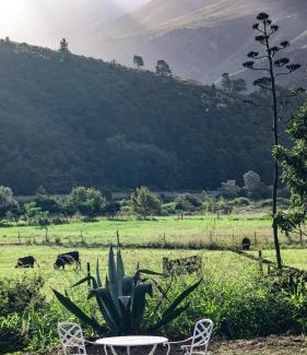 Swellendam House | The Hamlet