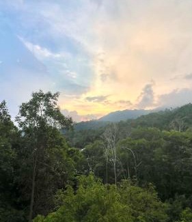 Bukit Tinggi Apartment | The Hillview inn Meranti Park Suites