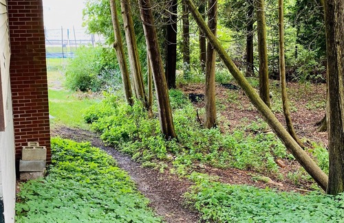 St Ignace House | The Holle House- New Outdoor Area Updates!