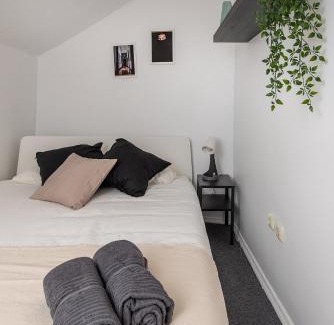 Old Town Hostel | The house black