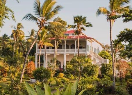 Bububu House | The House of Royals