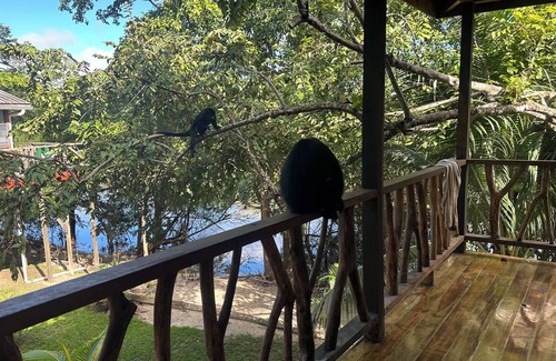 Burrell Boom House | The Howler Riverside Retreat