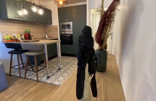 Blagnac Apartment | The Jungle : 1bdr with garden & spa