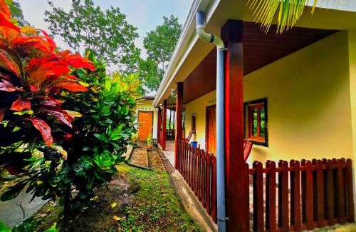 Merida Cabin | The Jungle