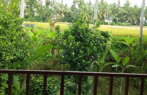 Melayang House | The Junjungan Bungalow